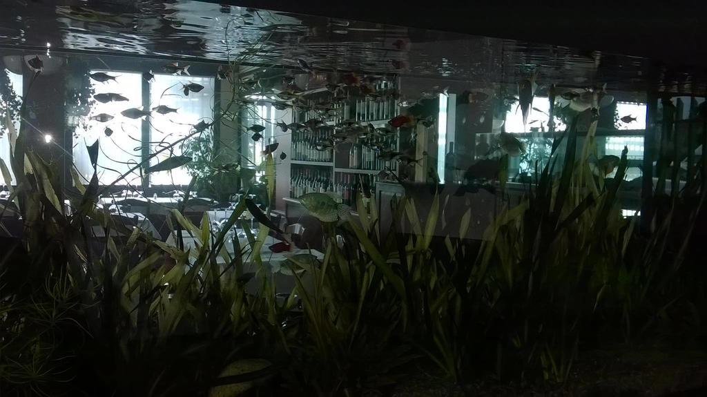 Locanda Ai Due Orsi ミラノ 部屋 写真